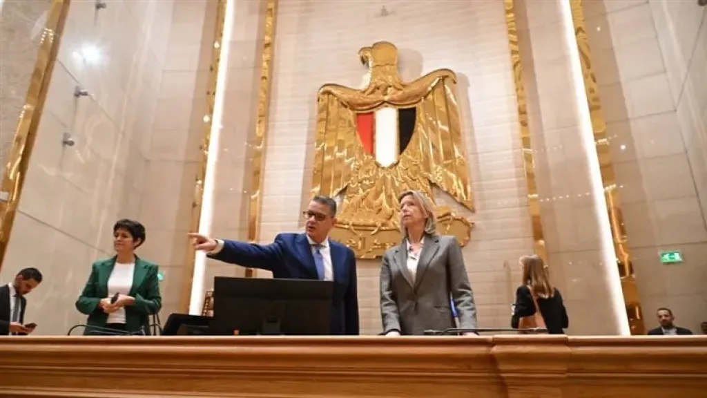 النائب طارق رضوان يناقش حقوق الإنسان مع الممثل الخاص للاتحاد الأوروبي