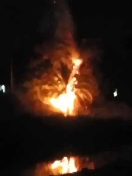 دون إصابات.. السيطرة على حريق نشب في أشجار ونخيل على الطريق العام في قنا