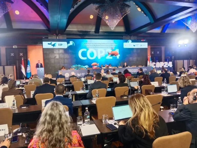 انطلاق فعاليات اتفاقية برشلونة لحماية البحر المتوسط من التلوث وبروتوكولاتها (COP24)
