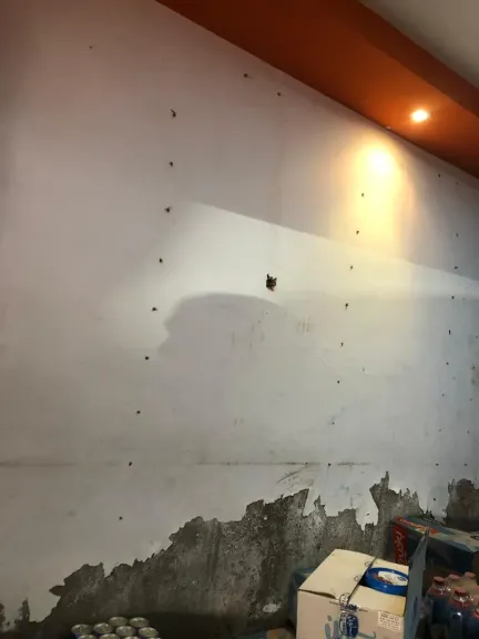 حملة مكبرة تفضح مخزنًا بلا ترخيص في بنها ويضبط 600 كجم جبن ولانشون فاسدين