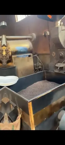 صحة القليوبية تداهم مطحن بن غير مرخص وتضبط 5 أطنان بن مغشوش بالخانكة