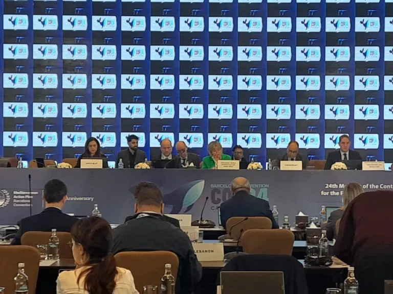 جانب من الفاعلية