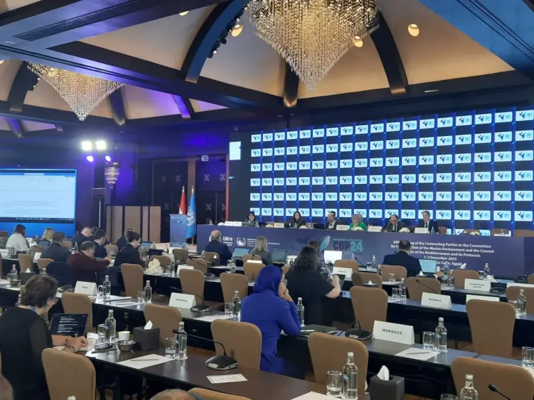 لليوم الثانى على التوالي.. أنشطة مكثفة للأطراف المتعاقدة والمشاركة بمؤتمر cop24 بالقاهرة