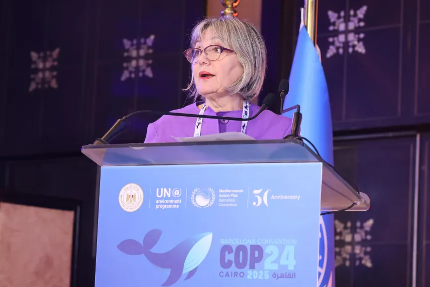 القاهرة تعزز فاعليتها الدولية بحماية بيئة البحر المتوسط خلال COP24