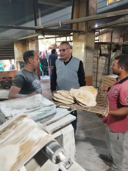 تحرير 434 مخالفة خلال حملات بالدقهلية