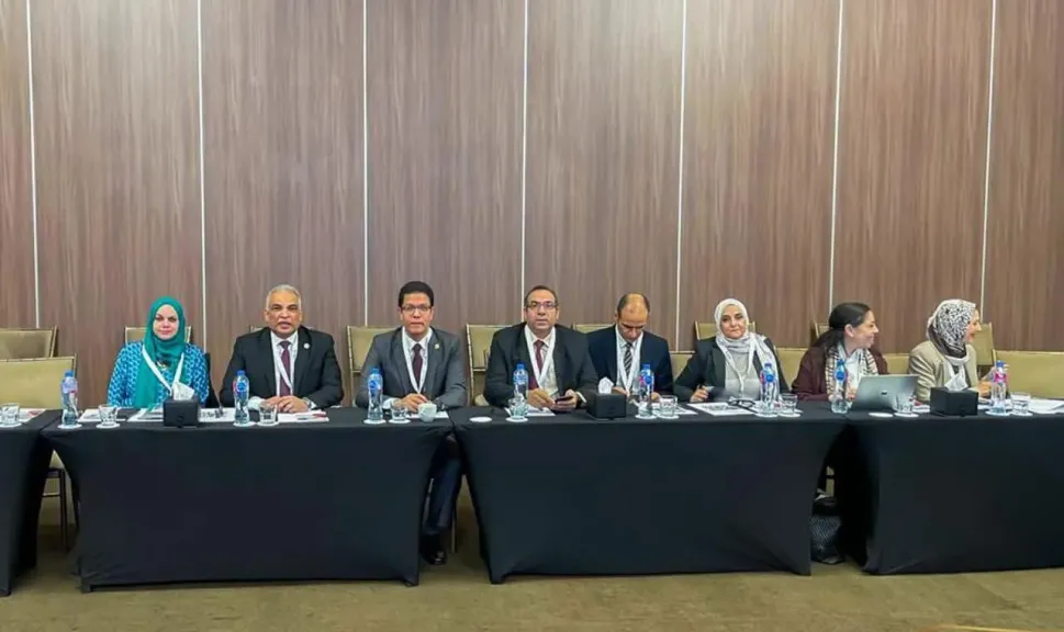 ينظمها المكتب الإقليمي للهيئة الألمانية للتبادل العلمي DAAD على مدار يومين.. رئيس جامعة طنطا يشارك في ورشة عمل حول ”التعليم العابر للحدود”