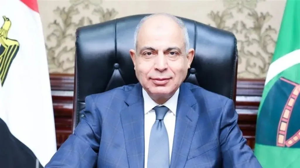 انتخابات النواب 2025 في المنيا.. المحافظ يشيد بسير العمل المنتظم