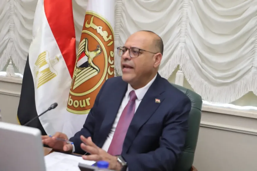 خلال 3 أيام فقط.. «العمل» :التفتيش على 1516 منشأة يعمل بها أكثر من 23 ألف عامل