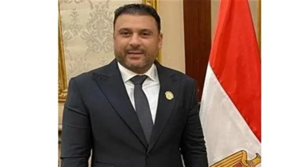 برلماني: مركز التجارة الإفريقي يعزز النفوذ الاقتصادي لمصر ويوفر فرصًا واعدة للصناعات الوطنية