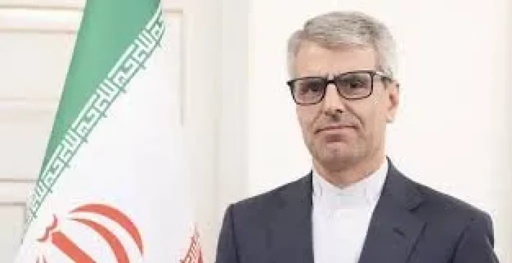 اسماعيل بقائي" متحدثا باسم الخارجية الإيرانية.