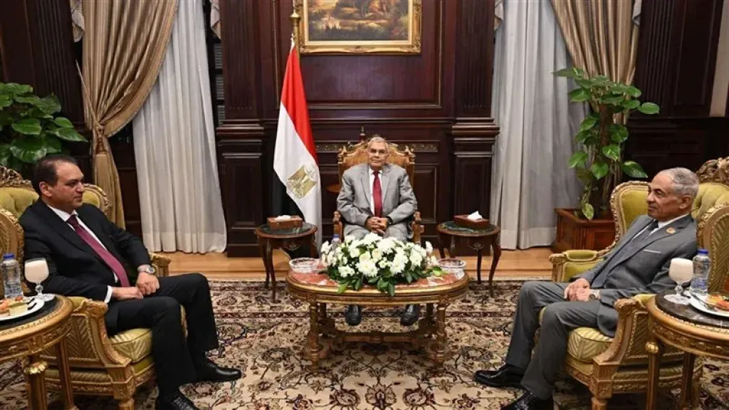 رئيس مجلس الشيوخ يلتقي وزير شؤون المجالس النيابية السابق ونائب رئيس محكمة النقض لمناقشة القضايا القانونية
