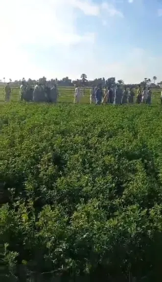 بسبب قطعة أرض.. القبض على 8 أشخاص إثر مشاجرة بين عائلتين في قنا