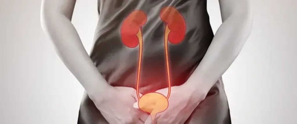 نصائح للتخلص من التهابات مجرى البول والوقاية منها