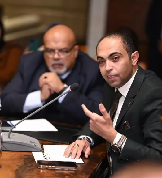 المهندس ماير جرجس