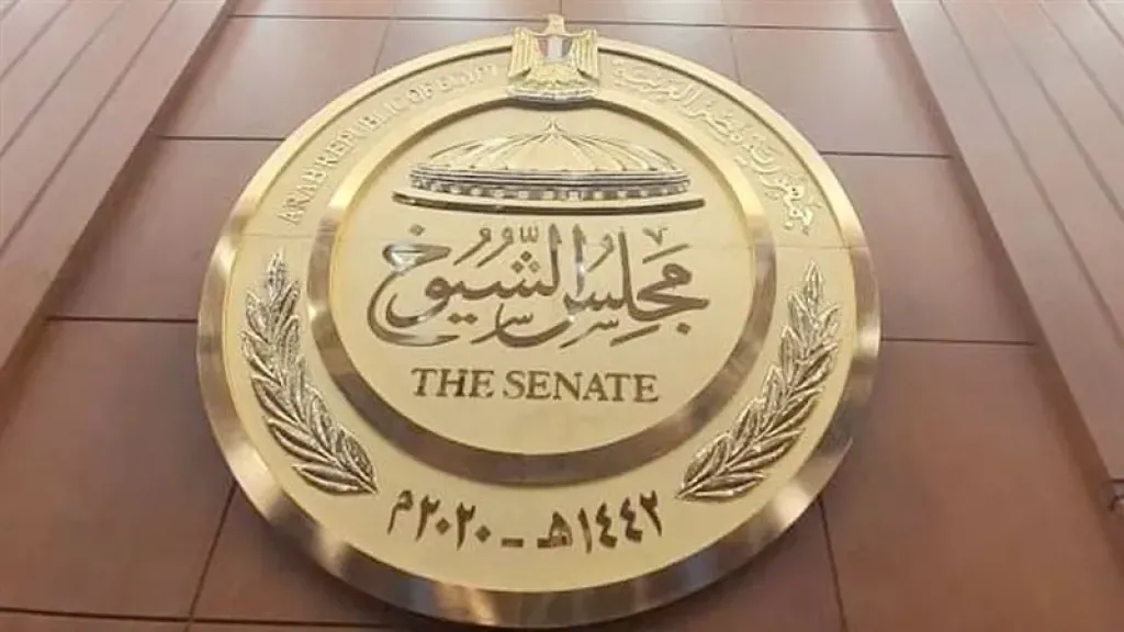 الشيوخ يوافق نهائيًا على تعديل قانون الكهرباء لتغليظ العقوبات