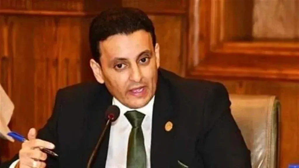 عضو الشيوخ: توجيهات القيادة السياسية تعزز الانضباط المالي واستدامة التنمية