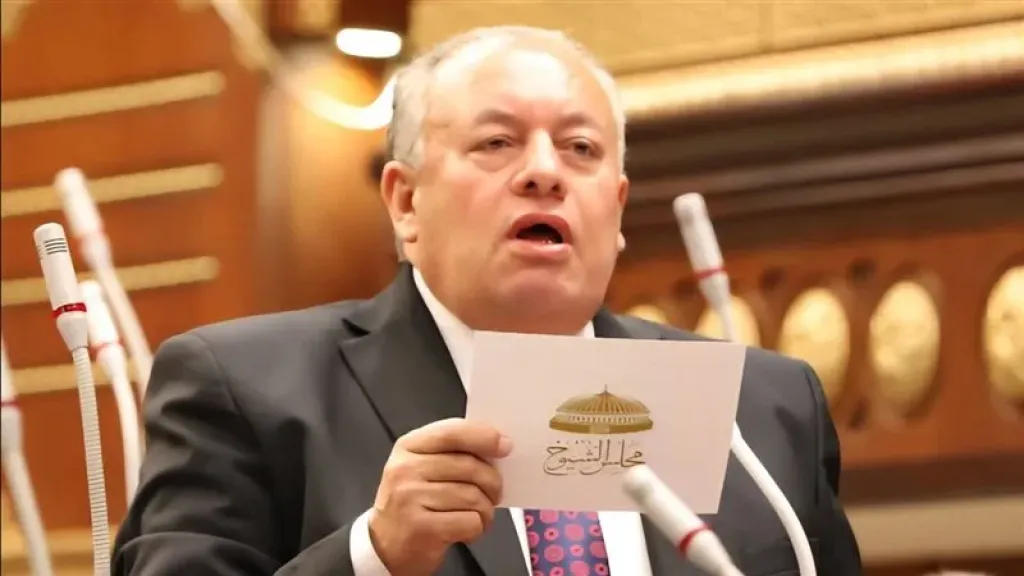 برلماني يشيد بتوجيهات الرئيس لتعزيز الاستقرار المالي باعتبارها إطارًا شاملًا لإدارة الاقتصاد الوطني