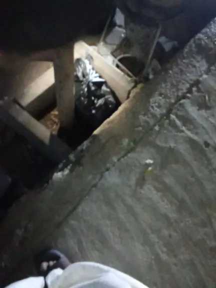 لقيوه يصرخ داخل مقام.. العثور على رضيع عمره 24 ساعة داخل كيس أسود في قنا