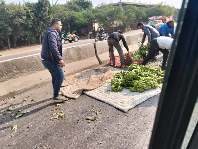 دون وقوع إصابات.. إنقلاب سيارة محملة بالموز على طريق إسكندرية الزراعي بطوخ