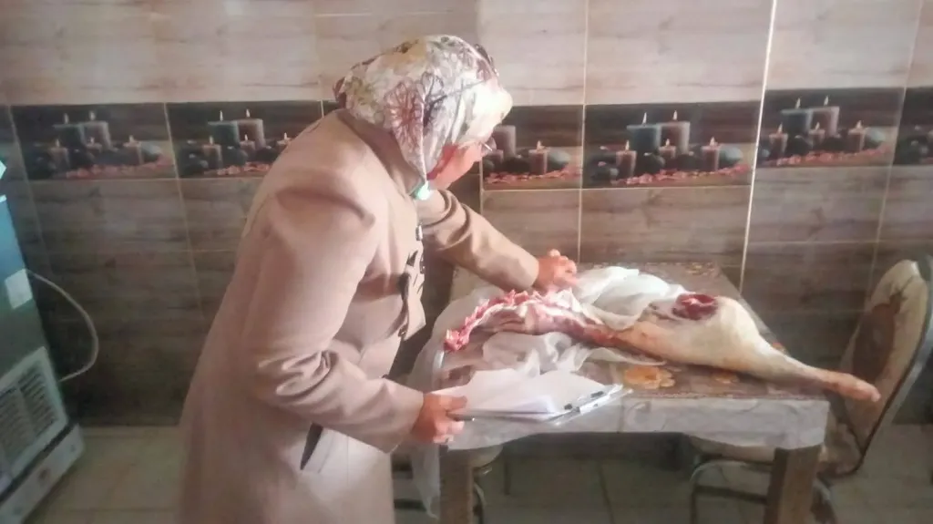 150 كيلو جرام لحم مفروم وكبدة مجهولة المصدر في قبضة تموين الخانكة