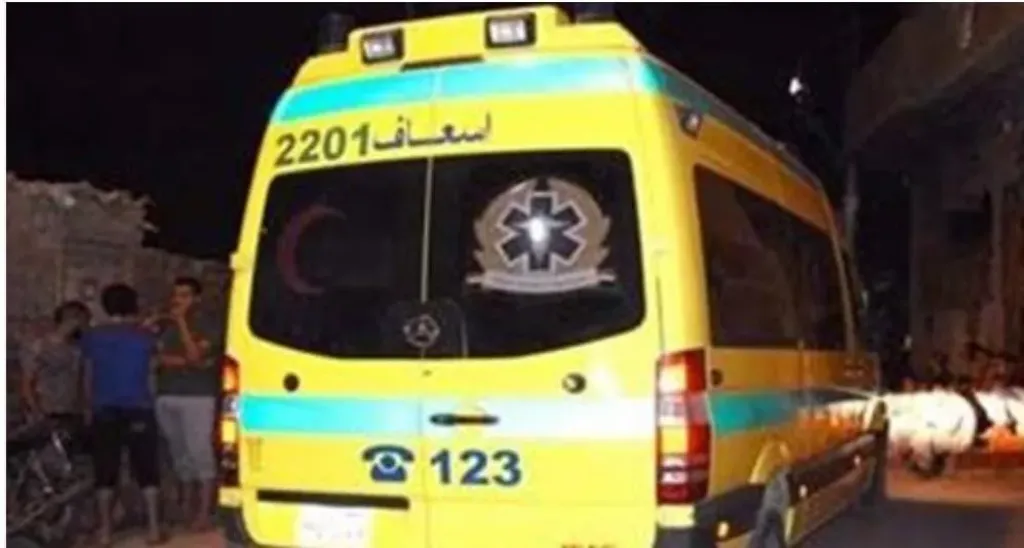 حالتهما خطيرة.. إصابة شقيقين إثر حادث تصادم سيارة ربع نقل مع عربة كارو في قنا