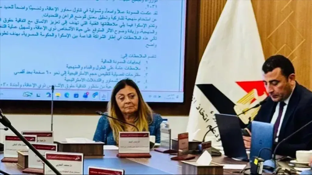 11 مليون معاق يستفيدون من دمج وتمكين حقيقي ضمن الاستراتيجية الوطنية للأشخاص ذوي الإعاقة