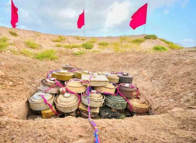 السعودية تواصل تطهير الأراضي اليمنية من الألغام.. مسام ينزع (835) لغمًا خلال أسبوع