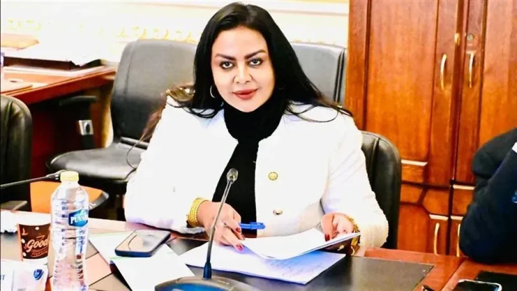 النائبة الدكتورة نيفين حمدي