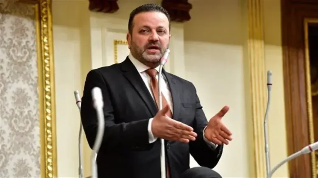 الشرقاوي: دبلوماسية مصر في 2025 أعادت التوازن ورسمت خريطة جديدة للإقليم