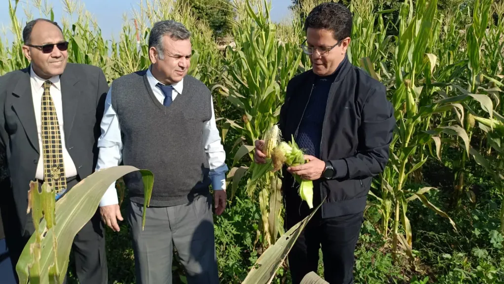 رئيس جامعة بنها: نسعى لتعزيز وزيادة العائد الإقتصادي للوحدات الإنتاجية بالجامعة