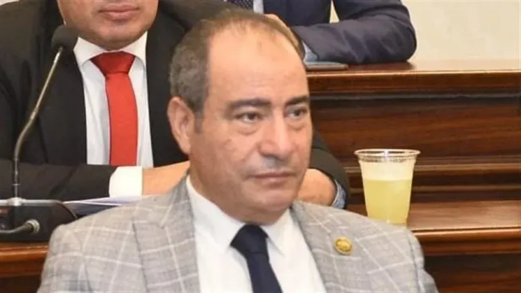 مجاهد نصار: نجاح الدبلوماسية المصرية كان خط الدفاع الأول عن الأمن القومي في مواجهة التهجير والاحتلال