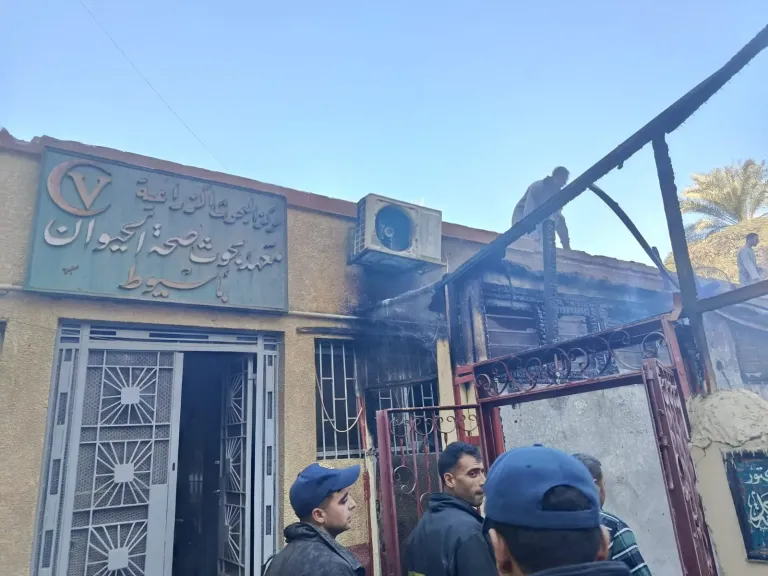 اندلاع حريق داخل مديرية الطب البيطري بأسيوط