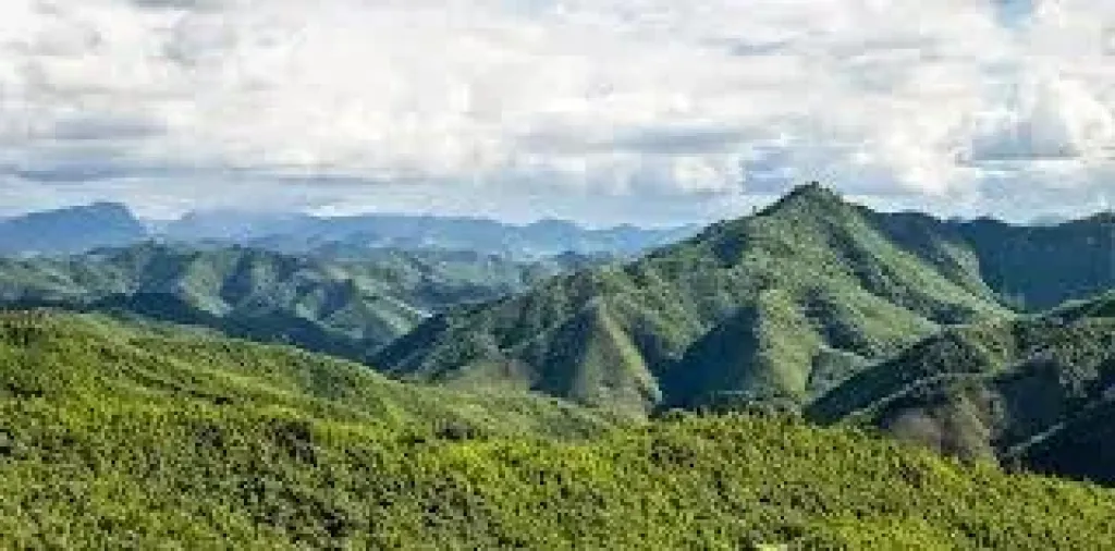 إيرادات المحميات الطبيعية ترتفع 30%… دليل على التعافي البيئي