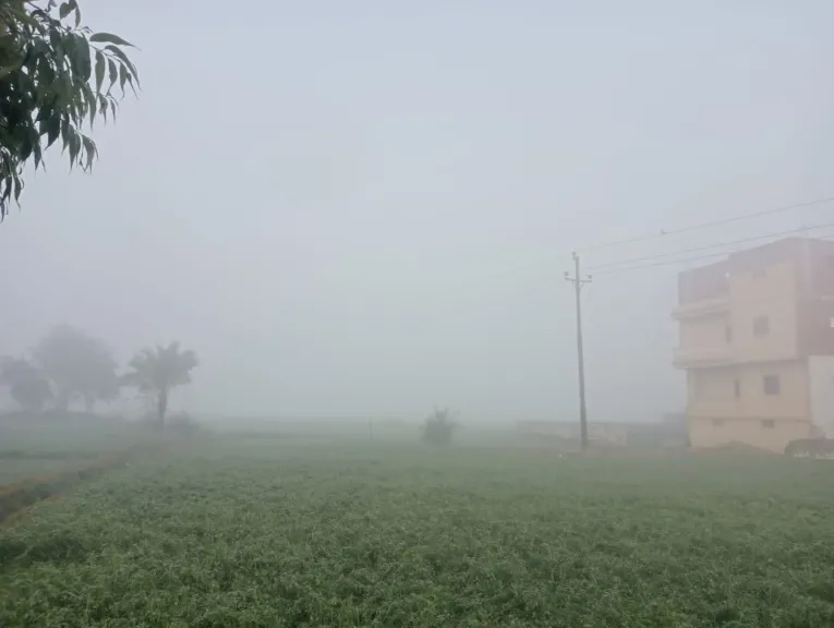 شبورة مائية كثيفة على محافظة كفر الشيخ.. والأرصاد تحذر المواطنين وسائقي الميكروباص