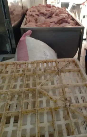 700 كجم دواجن فاسدة في قبضة البيطري وحماية المستهلك بالقليوبية