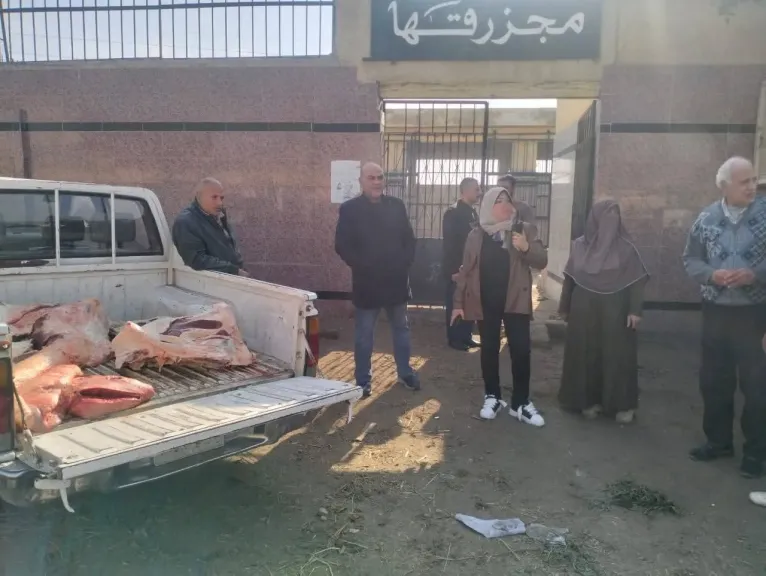صديد وخراريج داخل الذبيحة.. إعدام نصف جاموسة قبل بيعها للمواطنين بقها