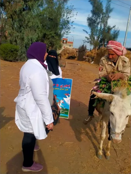 مديرية الطب البيطري بكفرالشيخ تشن حملة بيطرية لتحصين المواشي للوقاية من الأمراض الوبائية