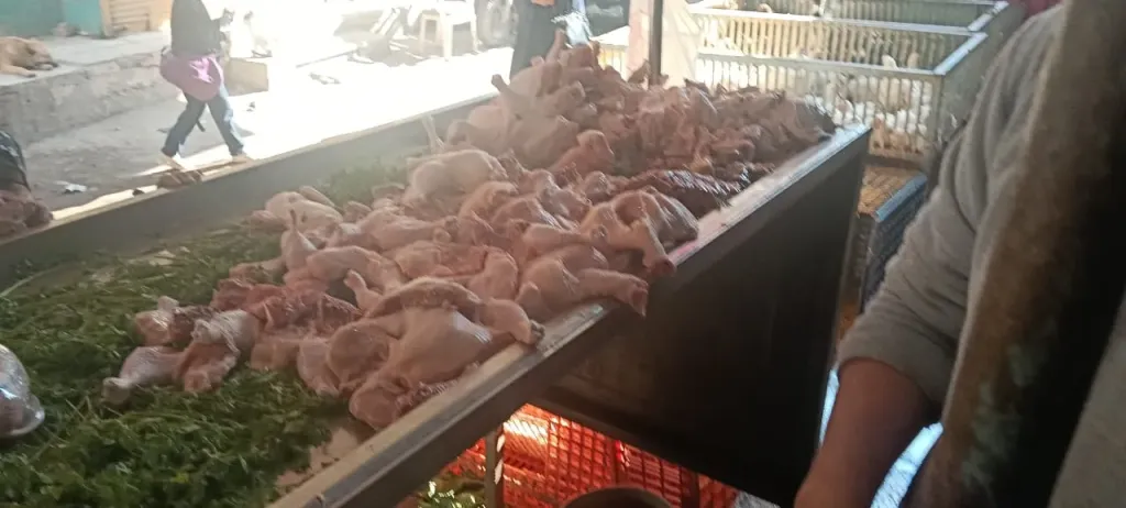 عشرات المحاضر في حملة تموينية لمديرية التموين بمحافظة كفرالشيخ