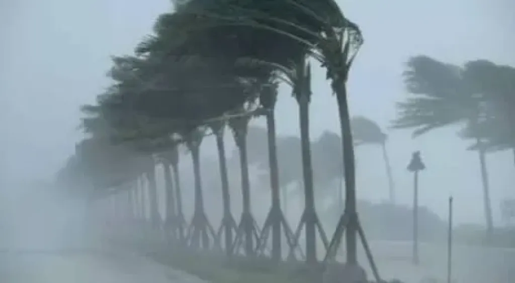 نشاط للرياح وانخفاض في درجات الحرارة وتوقف أعمال الصيد بكفر الشيخ