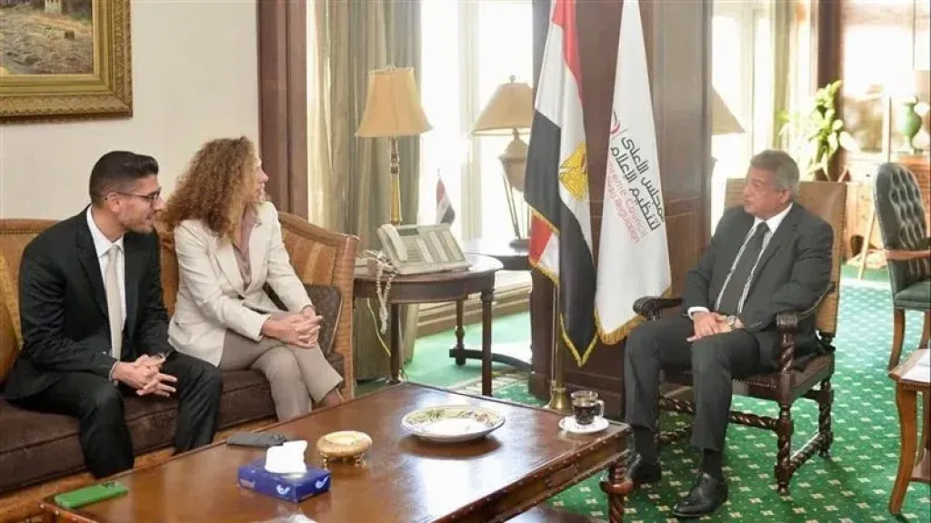 المجلس الأعلى للإعلام يبحث مع ”جوجل” حماية المحتوى الإعلامي والثقافي المصري رقميًا