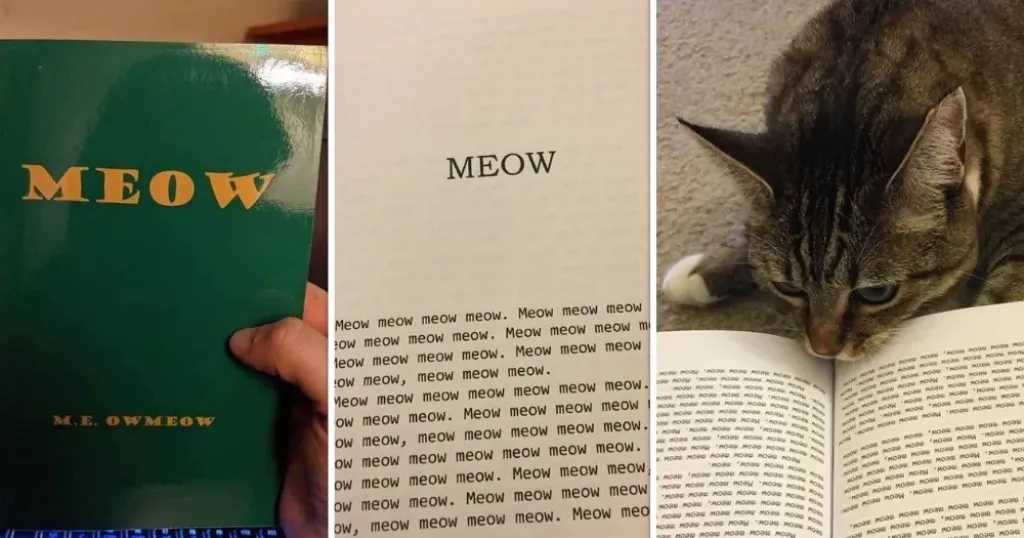 «مياو مياو».. حين تتحول الطباعة إلى مهزلة وكتاب بلا كلمات يتجاوز ألف جنيه