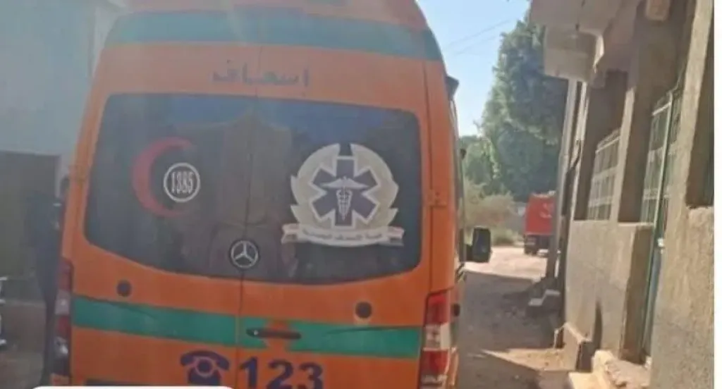 خلال ذهابها للعمل.. إصابة موظفة بوحدة محلية بغيبوبة إثر سقوطها من القطار في قنا