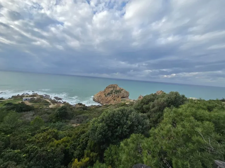 انتعاشة رياضية وإعلامية وسياحية كبيرة بالمغرب.. وطنجة تتأهب  للقاء الفراعنة والسنغال