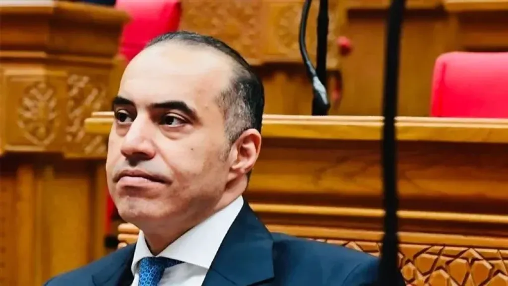 محمود فوزي: الجمهورية الجديدة تُشيَّد من العناوين العريضة وصولًا إلى أدق التفاصيل