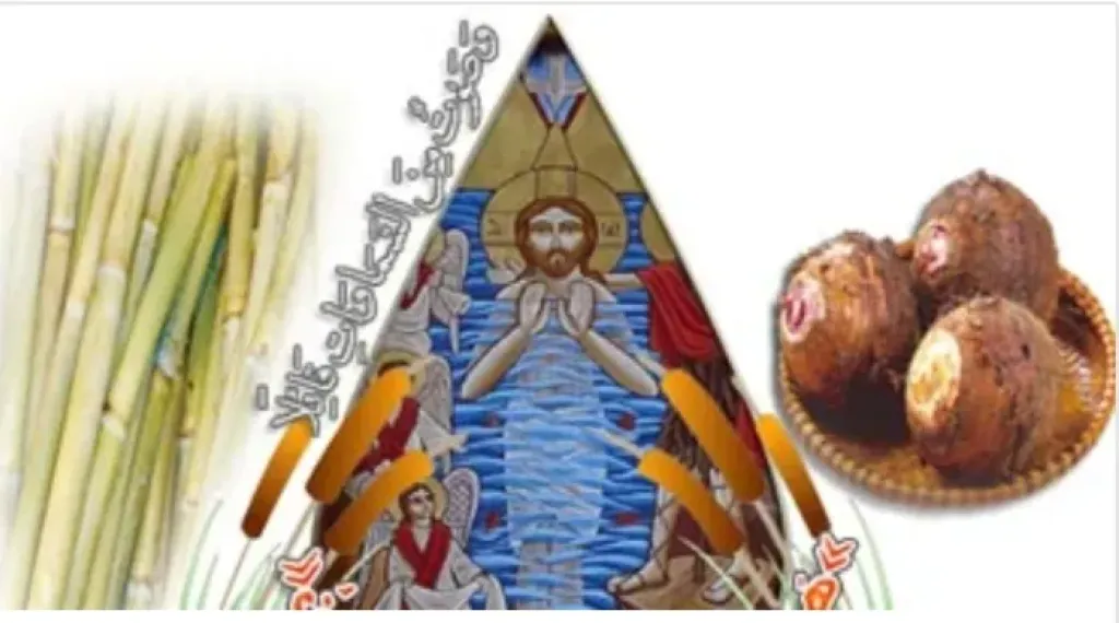 من نهر الأردن إلى الإسكندرية.. «عودين قصب وحلة قلقاس» كيف يحتفل الأقباط بالغطاس؟