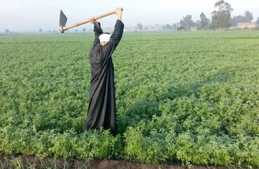 رئيس مركز معلومات تغير المناخ يحذر من التذبذب الحراري ويصدر توصيات عاجلة للمزارعين