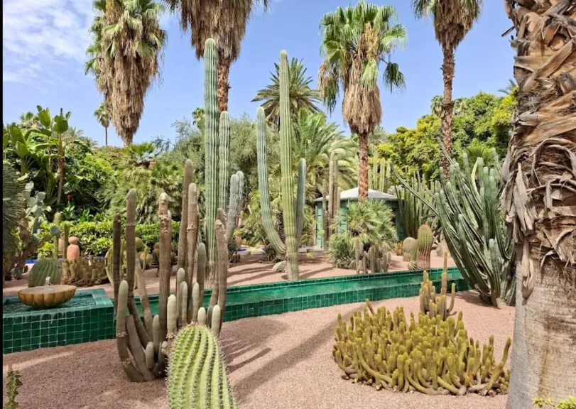 زارها مليون و500سائح في 2025.. حديقة ماجوريل أيقونة فنية تبهر السائحين في مراكش ومتحف إيف سان لوران يحكي مسيرة الابداع والذوق الرفيع