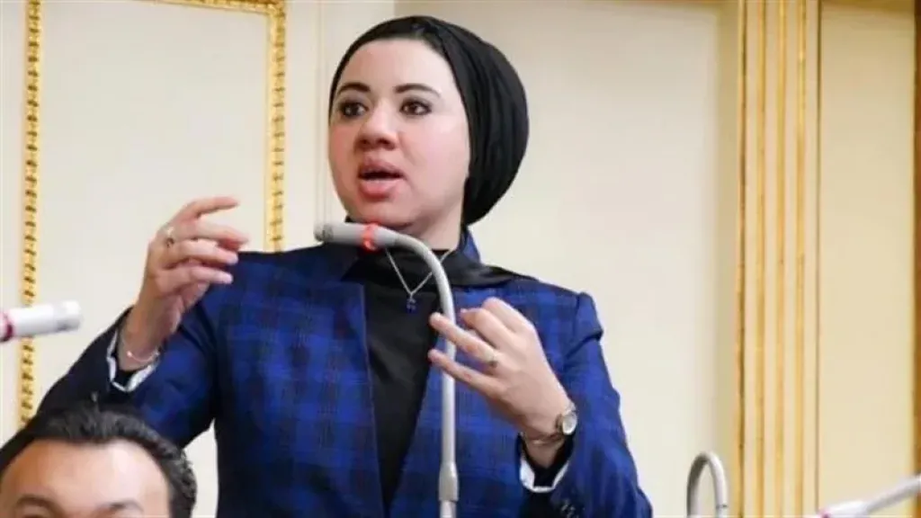 أميرة صابر: تشريع شامل للكوارث المناخية ضرورة عاجلة لحماية المواطنين