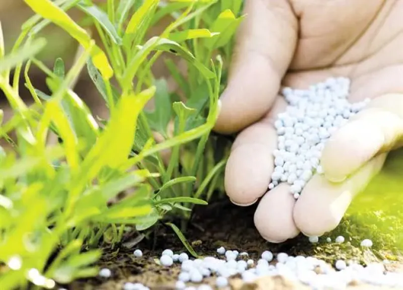 الدولية للأسمدة تستحوذ على 40% من «العروبة» وتؤسس شركة لإنتاج البذور