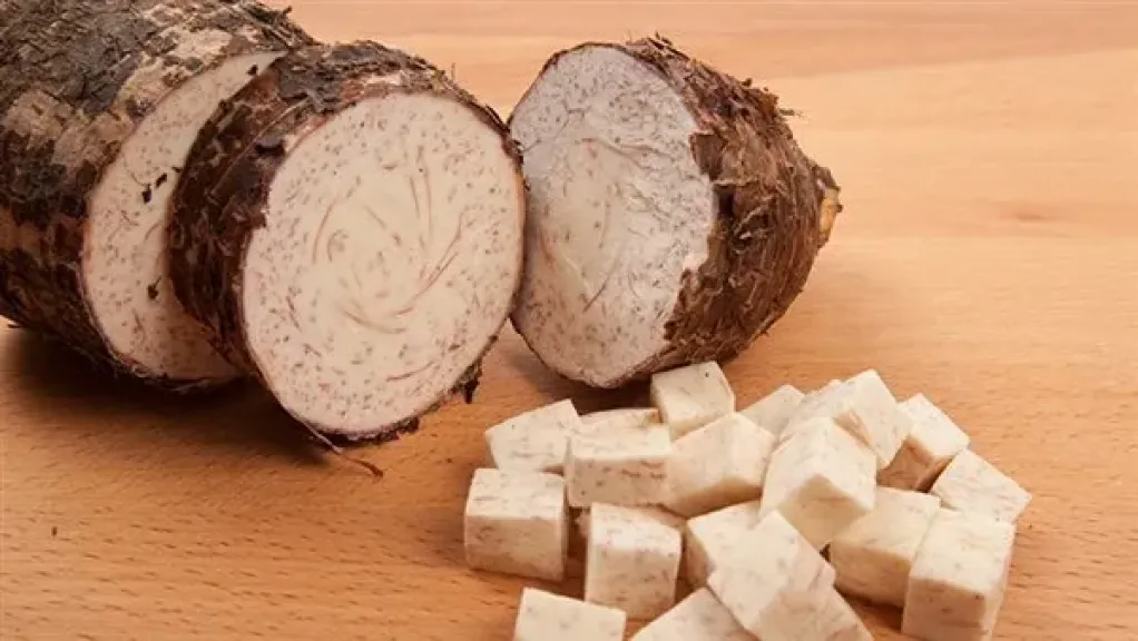 عيد الغطاس 2026.. فوائد تناول القلقاس